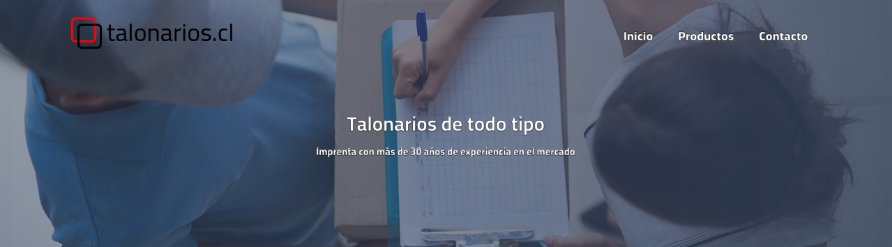 Captura de pantalla del proyecto /projects/talonarioscl.png